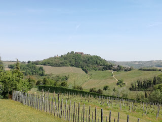 Castello di Montecalvo panorama ridotta.jpg